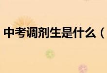中考调剂生是什么（中考调剂生是什么意思）