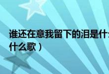 谁还在意我留下的泪是什么歌（歌词谁还在意我留下的泪是什么歌）