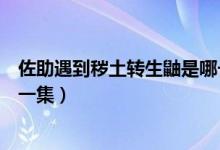 佐助遇到秽土转生鼬是哪一集（秽土转生鼬和佐助一起是哪一集）