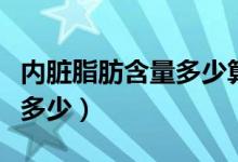 内脏脂肪含量多少算正常（正常内脏脂肪含量多少）