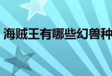 海贼王有哪些幻兽种（海贼王有哪些海贼团）