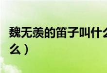 魏无羡的笛子叫什么名字（魏无羡的笛子叫什么）