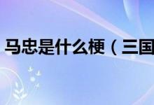 马忠是什么梗（三国杀马忠这把稳了什么梗）