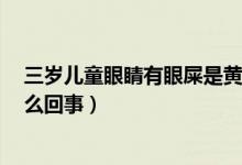 三岁儿童眼睛有眼屎是黄脓状（3岁宝宝的眼屎是黄脓状怎么回事）