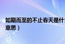 如期而至的不止春天是什么意思（万事顺遂不止春天是什么意思）