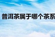 普洱茶属于哪个茶系（普洱茶属于哪一类茶）