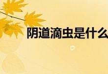 阴道滴虫是什么（阴道滴虫是什么）