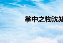 掌中之物沈知节是不是傅慎行