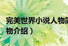 完美世界小说人物简介文库（完美世界小说人物介绍）