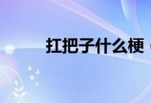 扛把子什么梗（扛把子什么意思）