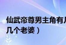 仙武帝尊男主角有几个老婆（仙武帝尊男主角几个老婆）