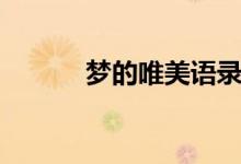 梦的唯美语录（梦的唯美语录）