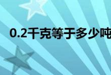 0.2千克等于多少吨（0.1吨等于多少千克）