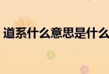 道系什么意思是什么（道系总裁是什么意思）