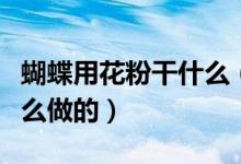 蝴蝶用花粉干什么（蝴蝶粉是用来干嘛的是什么做的）