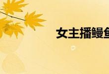 女主播鳗鱼是什么意思？