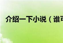 介绍一下小说（谁可以介绍一些小说给我）