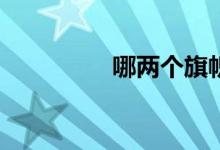 哪两个旗帜组合在一起？