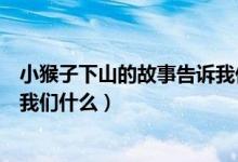 小猴子下山的故事告诉我们的道理（小猴子下山的故事告诉我们什么）