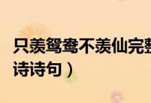 只羡鸳鸯不羡仙完整诗句（只羡鸳鸯不羡仙全诗诗句）