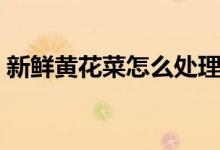 新鲜黄花菜怎么处理（如何处理新鲜黄花菜）