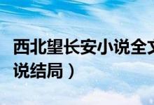 西北望长安小说全文免费阅读（西北望长安小说结局）