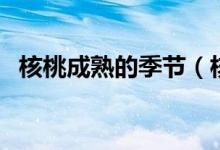 核桃成熟的季节（核桃成熟的季节是几月）