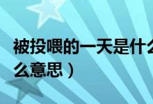 被投喂的一天是什么意思（被投食的一天是什么意思）