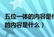 五位一体的内容是什么时候提出的（五位一体的内容是什么）