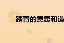 踏青的意思和造句（踏青怎么造句）