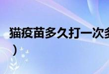 猫疫苗多久打一次多少钱（猫疫苗多久打一次）