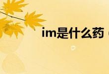 im是什么药（im是什么单位）