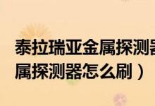 泰拉瑞亚金属探测器哪个npc买（泰拉瑞亚金属探测器怎么刷）