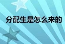 分配生是怎么来的（分配生是怎么录取的）