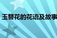 玉簪花的花语及故事（玉簪花的花语是什么）