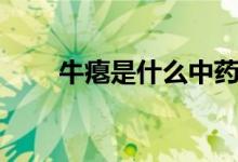 牛瘪是什么中药（牛瘪是什么东西）