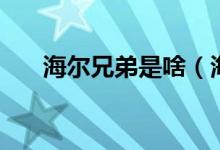 海尔兄弟是啥（海尔兄弟是啥梗意思）