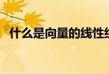 什么是向量的线性组合（什么是向量正交）