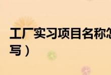 工厂实习项目名称怎么填（实习项目名称怎么写）