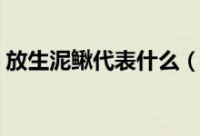放生泥鳅代表什么（放生泥鳅代表什么意思）