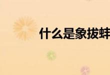 什么是象拔蚌（什么是象形字）