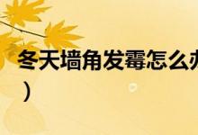 冬天墙角发霉怎么办（冬天怎么防止墙角发霉）