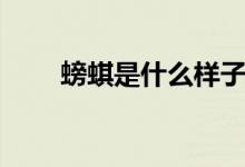 螃蜞是什么样子的（螃蜞是海鲜吗）