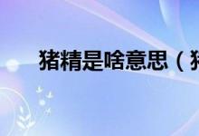 猪精是啥意思（猪精男孩是什么意思）