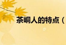茶峒人的特点（茶峒人是什么民族）