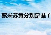 蔡米苏黄分别是谁（苏黄米蔡的苏指的是谁）