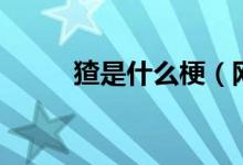 猹是什么梗（网络语猹是什么梗）