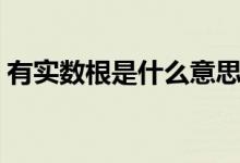 有实数根是什么意思（有实数根是什么意思）