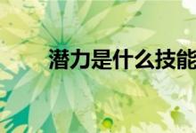 潜力是什么技能（潜力是什么意思）