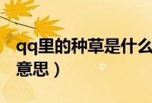 qq里的种草是什么意思（qq里面养草是什么意思）
